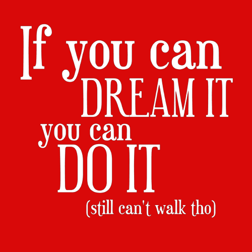 Topje- If you can dream it, you can do it (still can't walk tho)