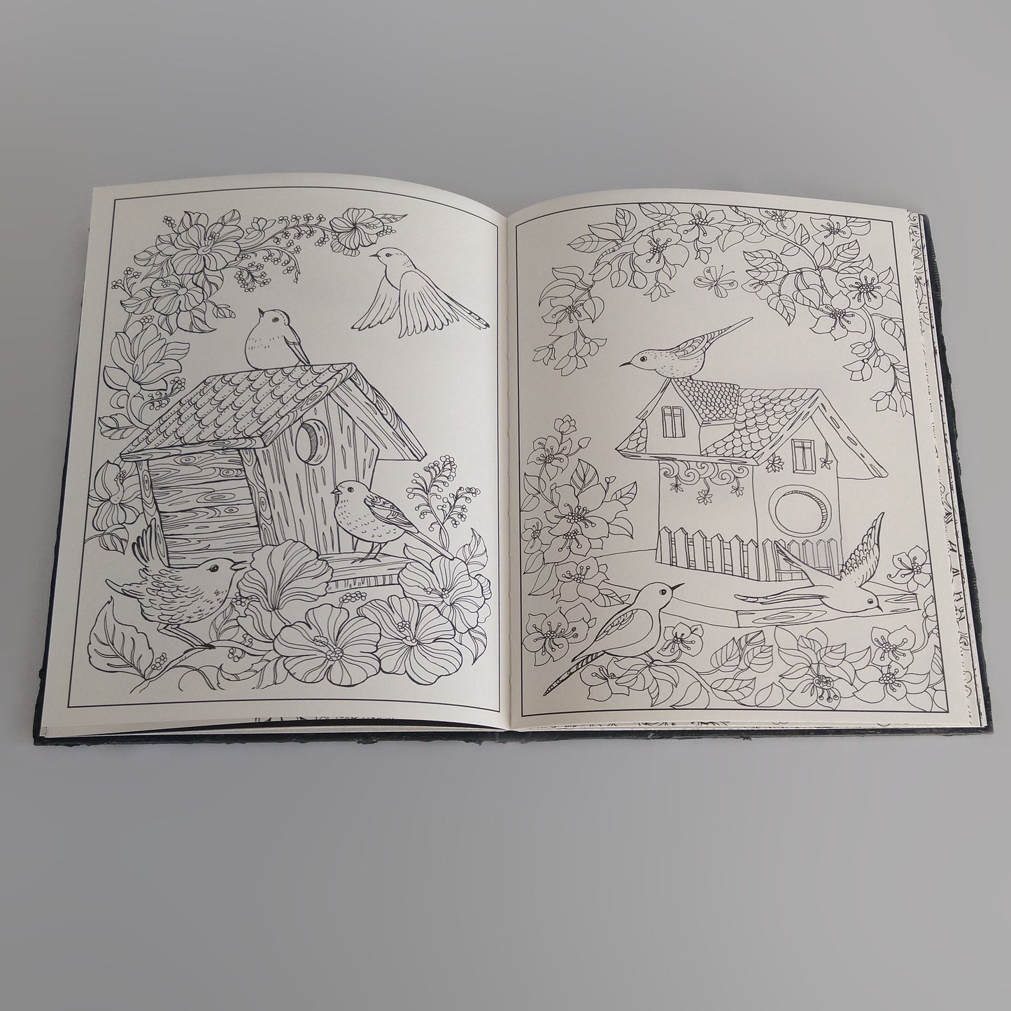 Boek - kleurboek voor volwassenen - versie 1 - dream in colors