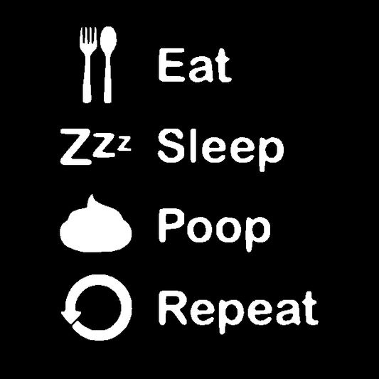 Romper - Eat Sleep Poop Repeat