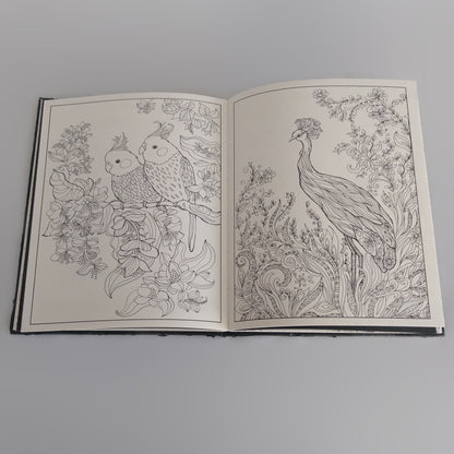 Boek - kleurboek voor volwassenen - versie 1 - dream in colors