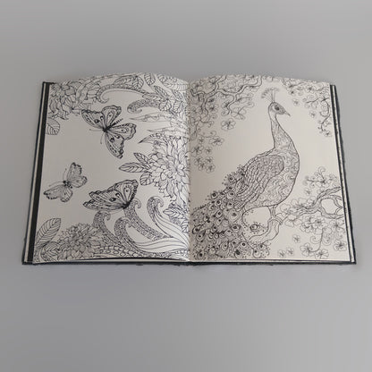 Boek - kleurboek voor volwassenen - versie 1 - dream in colors